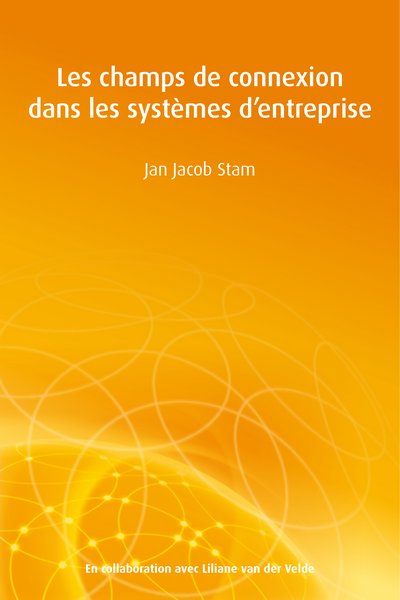 Fields of Connection in the Enterprise System