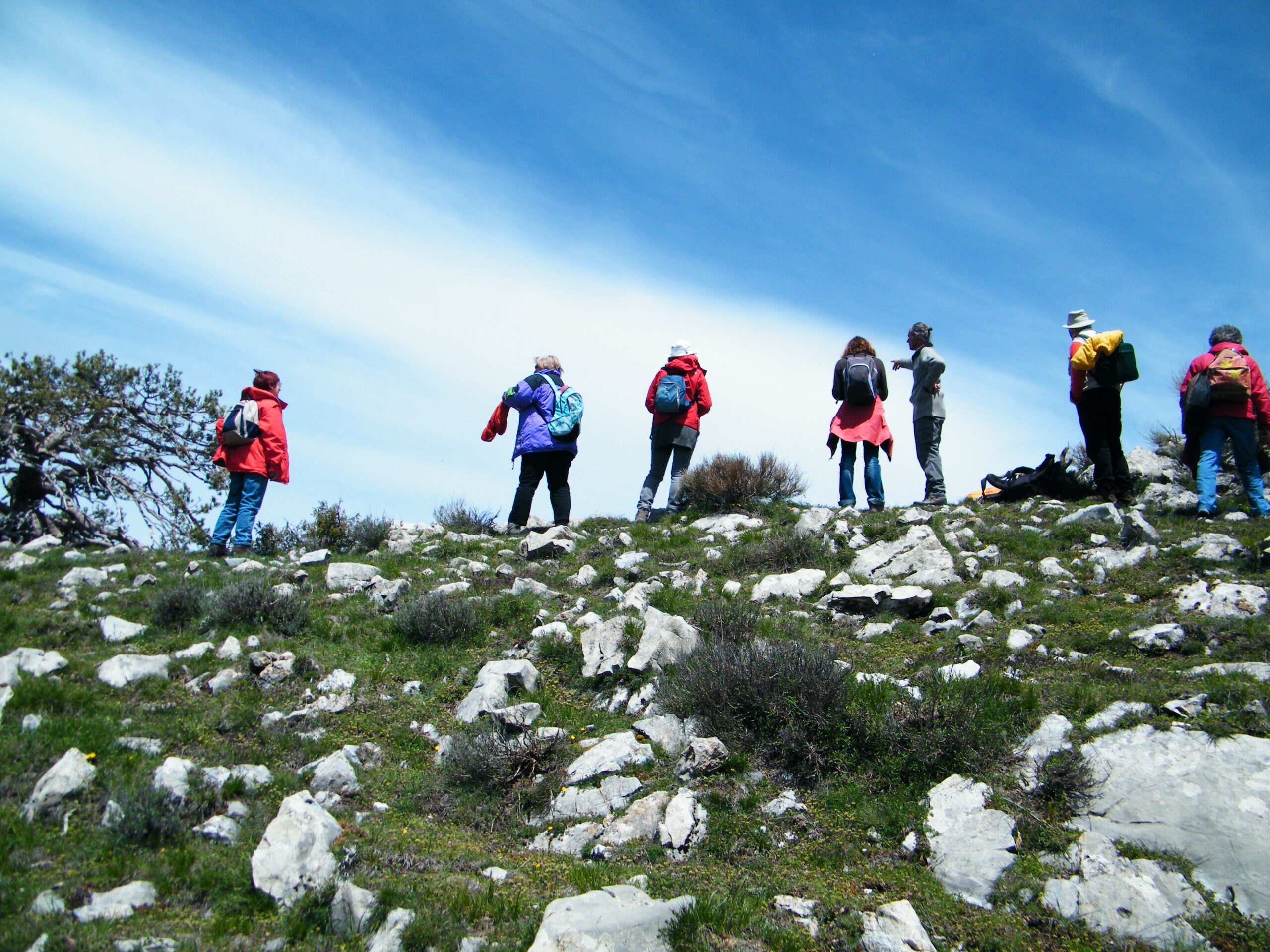 people in nature