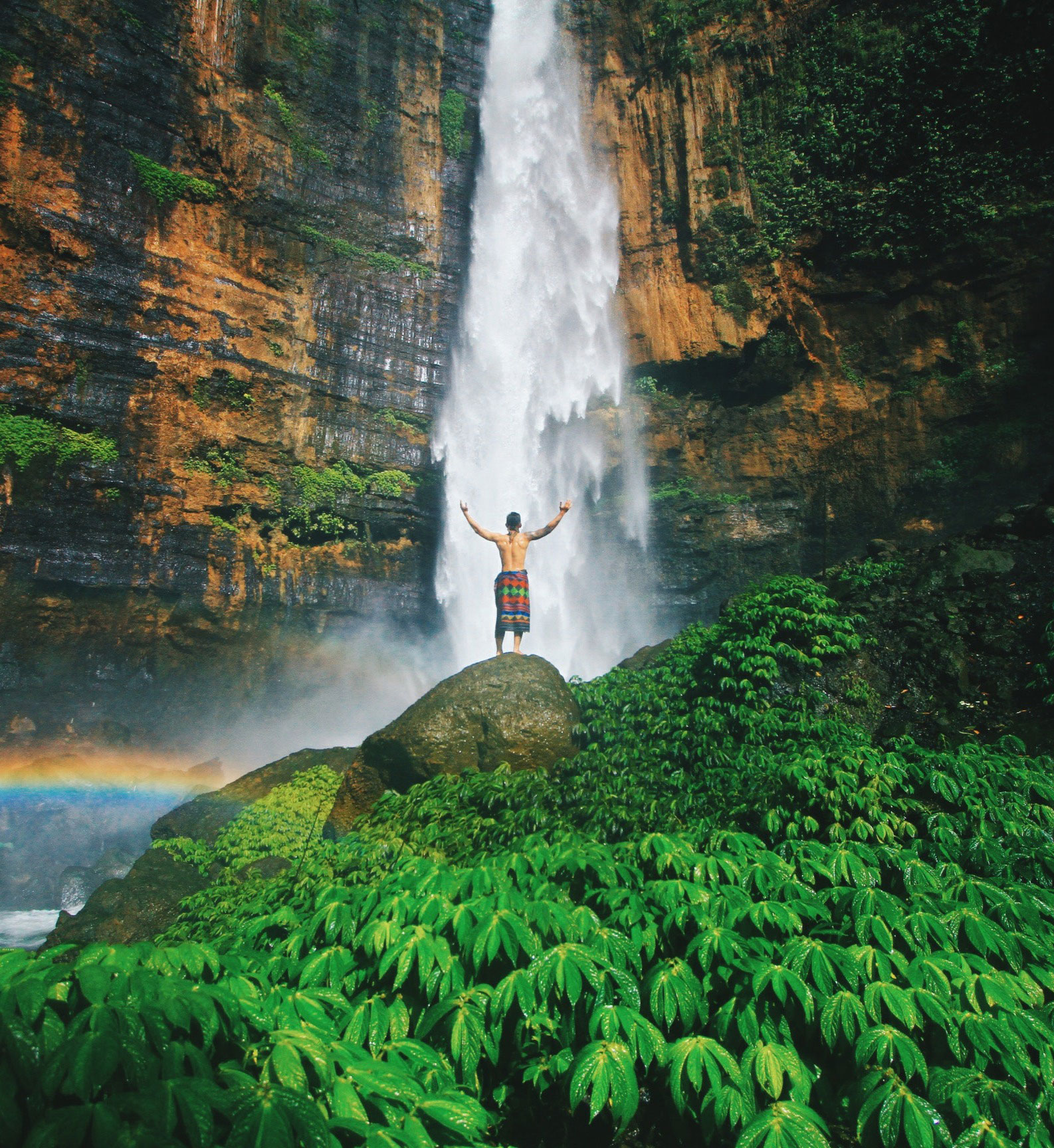 Nature's support and healing for professionals